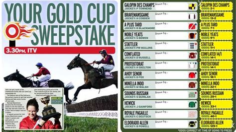 gold cup sweepstakes|Cheltenham Festival 2023 Gold Cup sweepstake kit:.